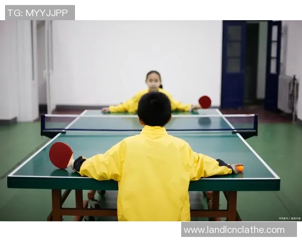 乒乓球新手必读从零起步掌握力量技巧与训练全攻略